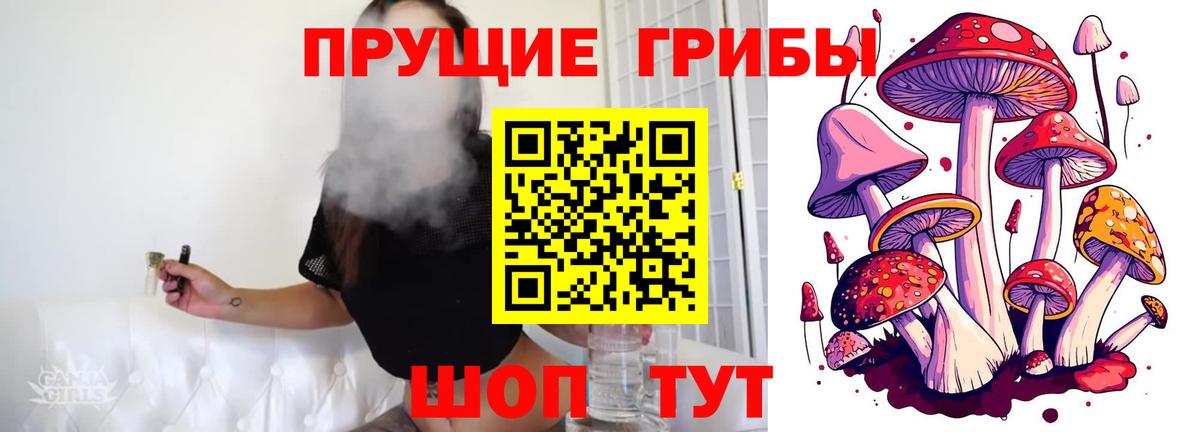 Галлюциногенные грибы ЛСД Новый Уренгой